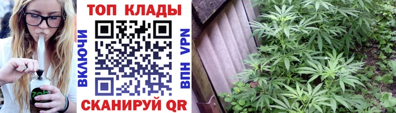Наркошоп купить Каннабис КОКАИН Псилоцибиновые грибы СК АМФ Мефедрон ГАШИШ Клин