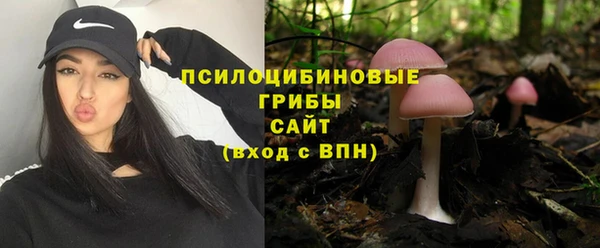 ешки Каменногорск