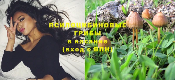дживик Каменка