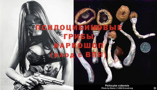 спиды Каменск-Шахтинский