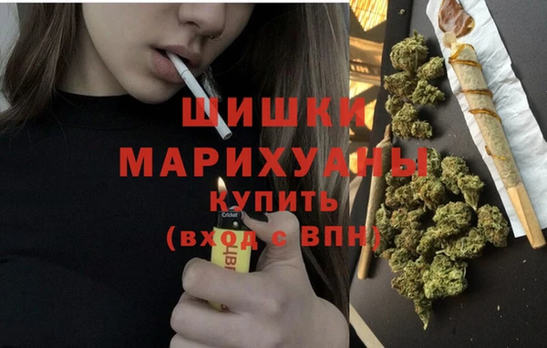 дживик Каменка