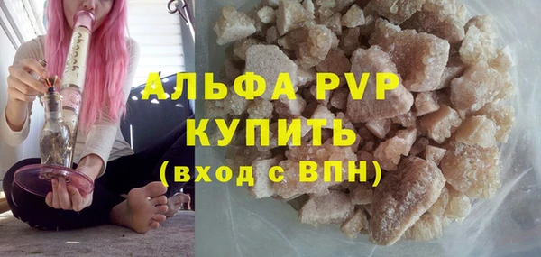 ешки Каменногорск
