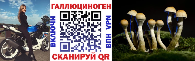Галлюциногенные грибы Psilocybine cubensis  Купить  Клин 