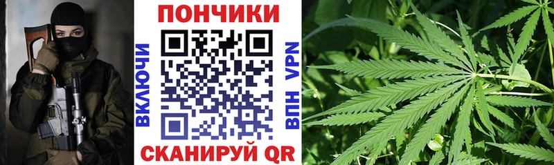 Конопля индика  Купить где  Клин 